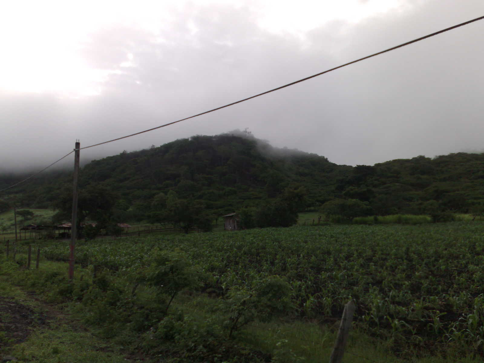 Around Estelimar Around Estelimar