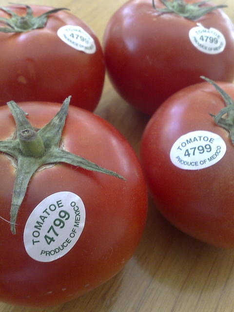 Tomatoes produced in Mexico