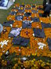 Altars in Megaofrenda UNAM 2009