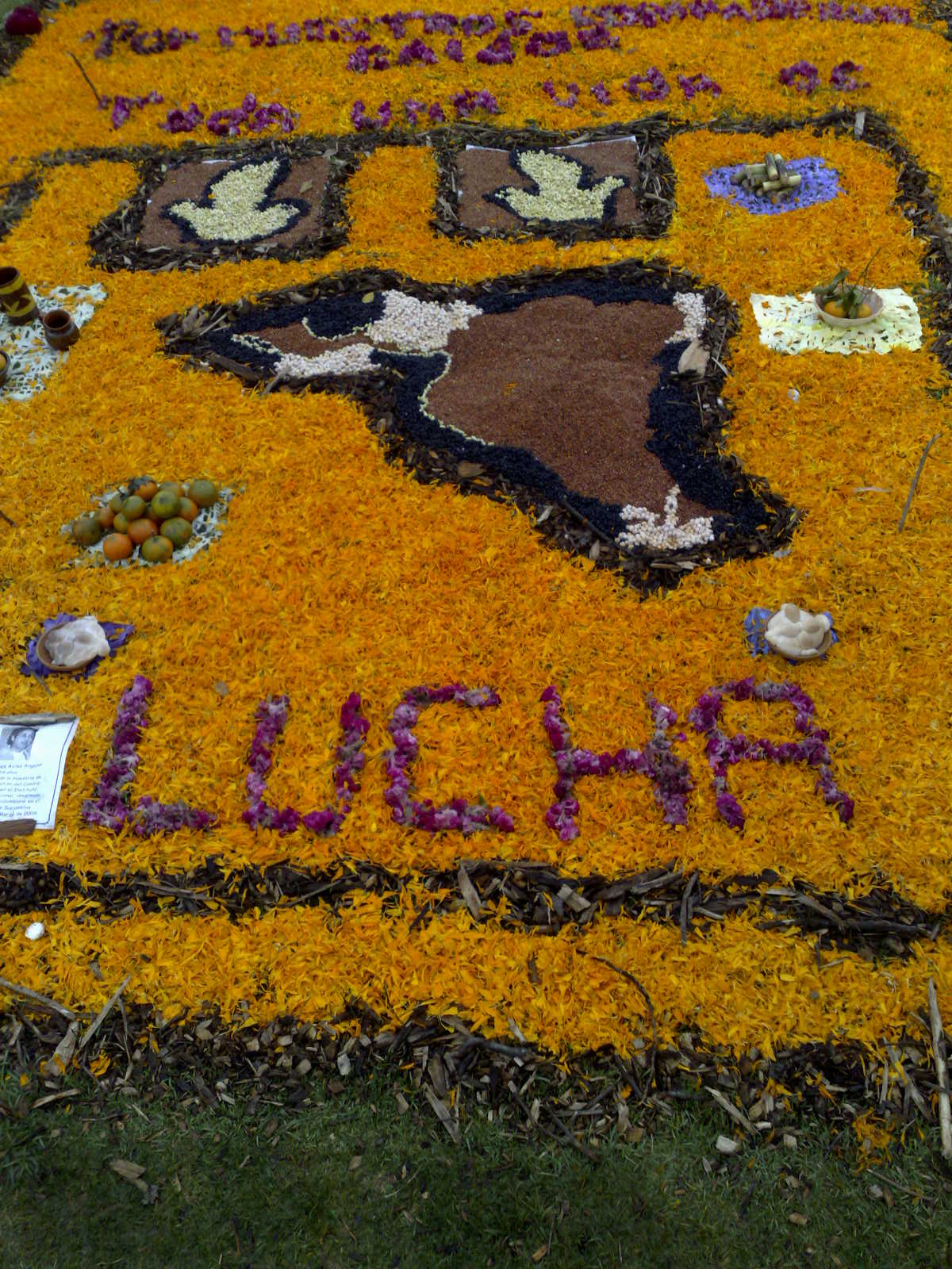 Altars in Megaofrenda UNAM 2009 Altars in Megaofrenda UNAM 2009