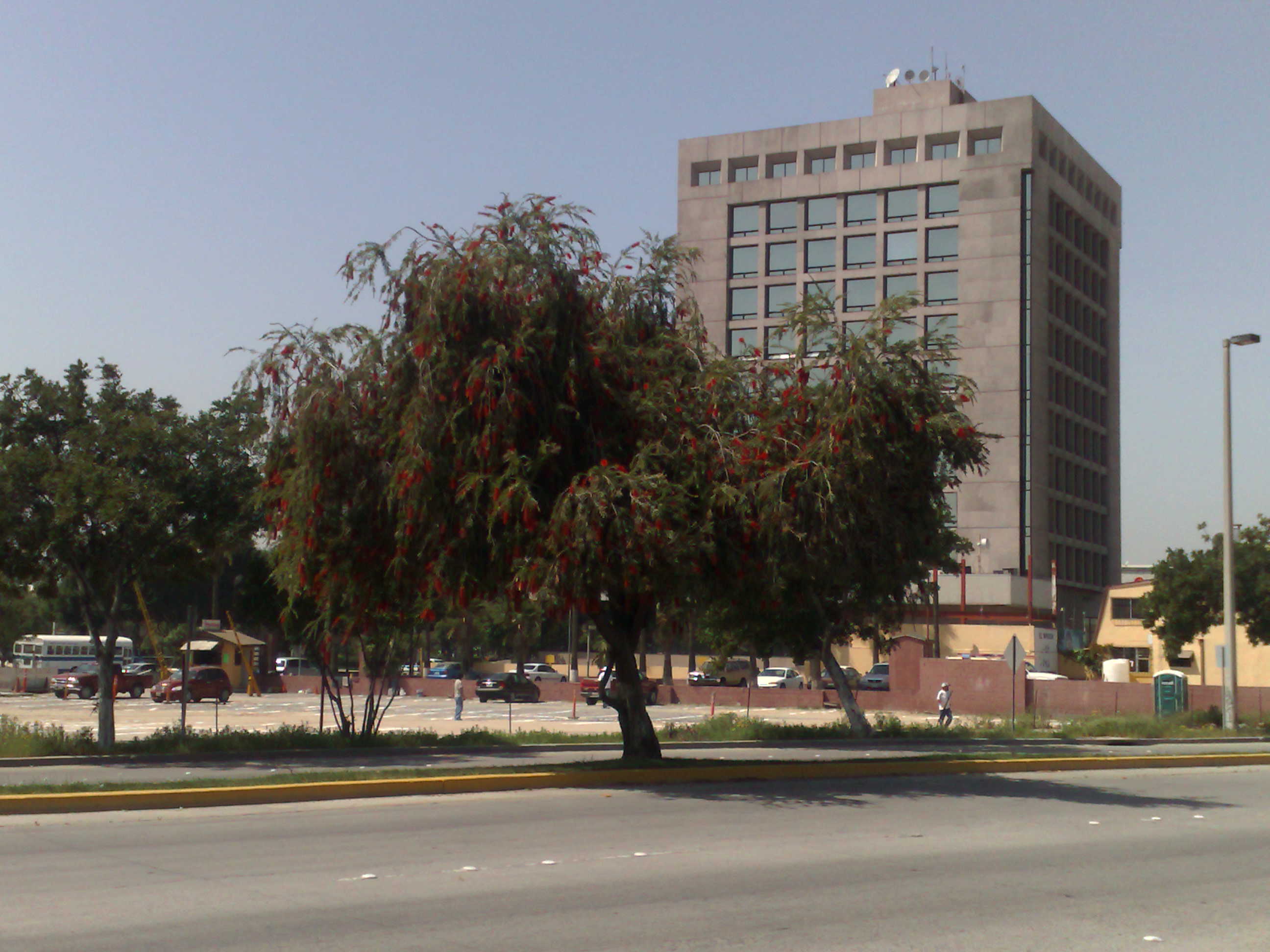 Tijuana downtown Tijuana downtown