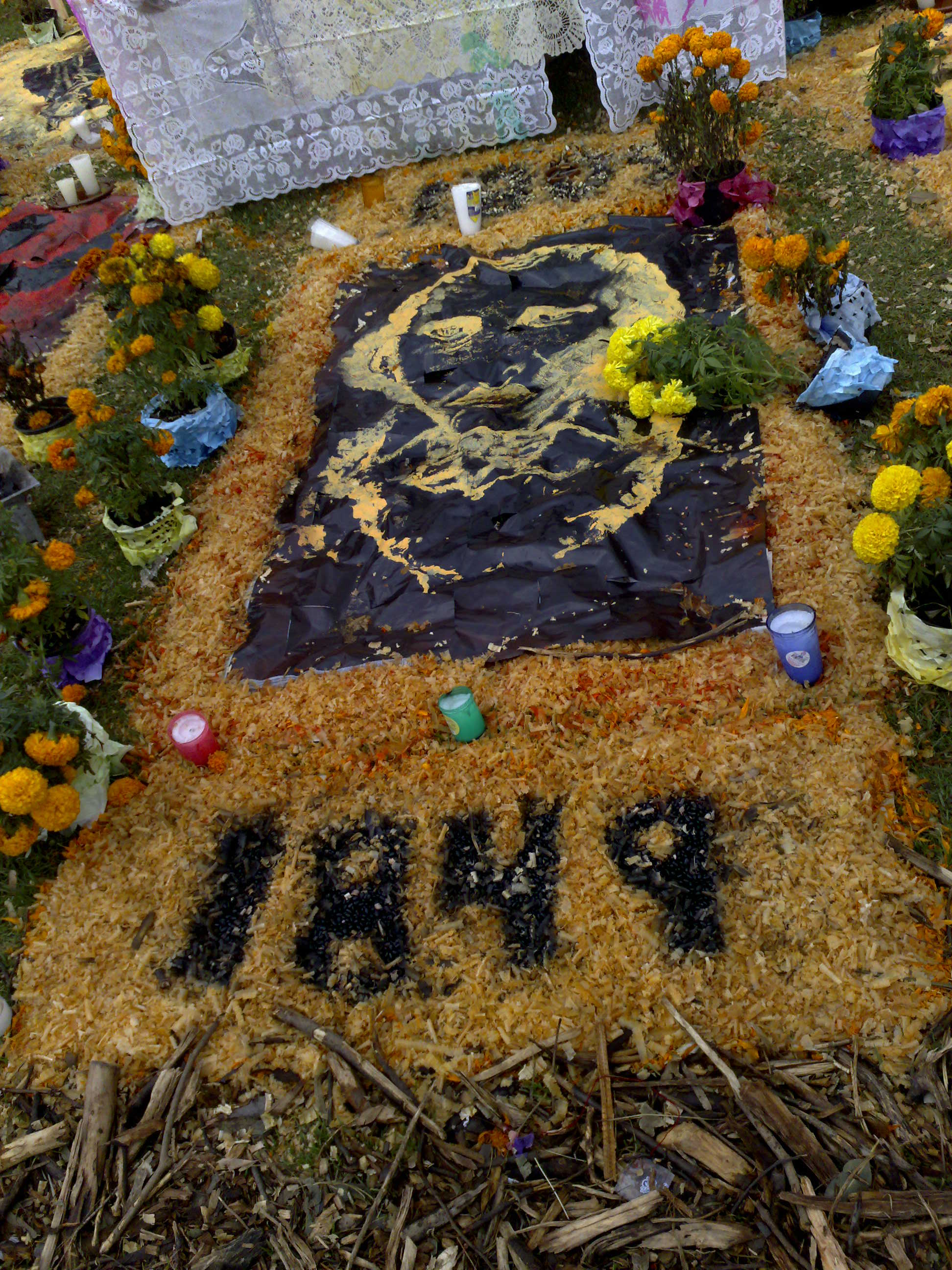 Altars in Megaofrenda UNAM 2009 Altars in Megaofrenda UNAM 2009